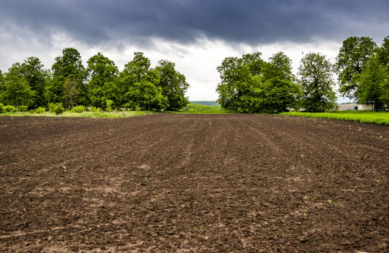 Acreage Clearing in Gwinnett County, GA