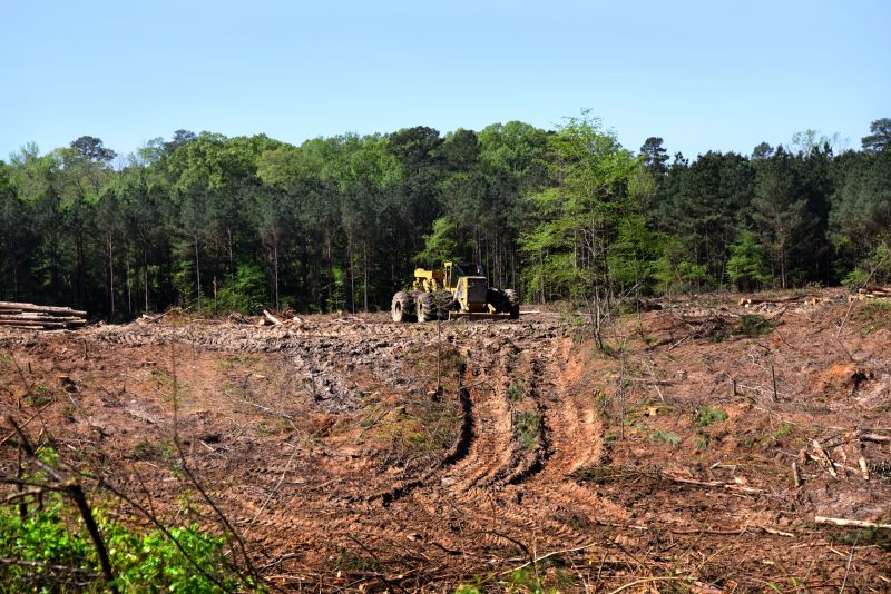 Easement Land Clearing in Houston, TX