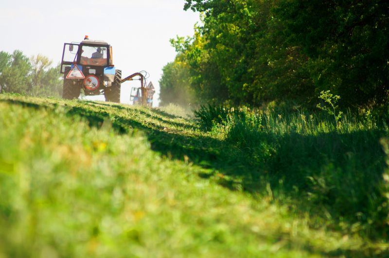 Farm Clearing in Cumming, GA