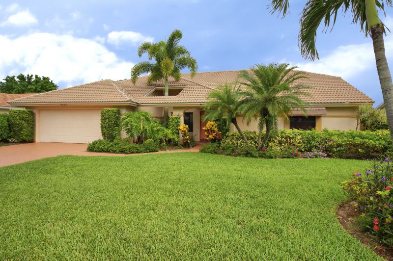 Mimosa Tree Removal in Reno, NV