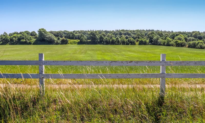 Pasture Clearing in Utah County, UT