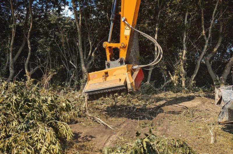 Site Cleaning in Cumming, GA