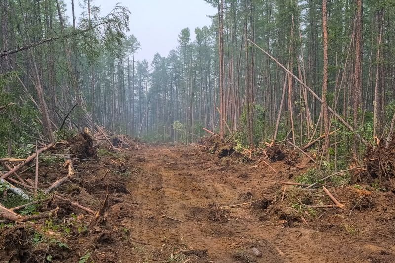 Slope Clearing in Cumming, GA