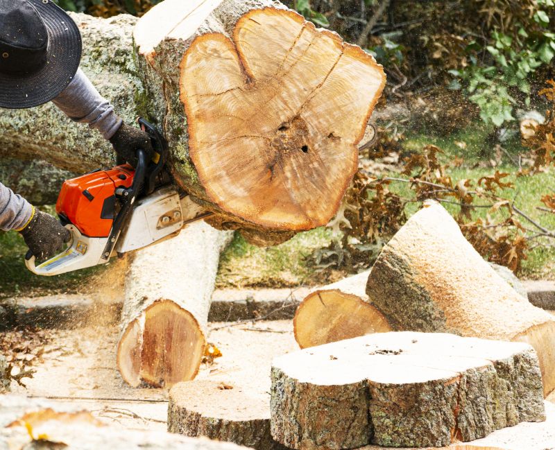 Tree Removal Service in Pottstown, PA