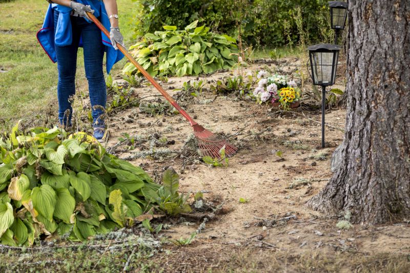 Underbrush Clearing in Cumming, GA