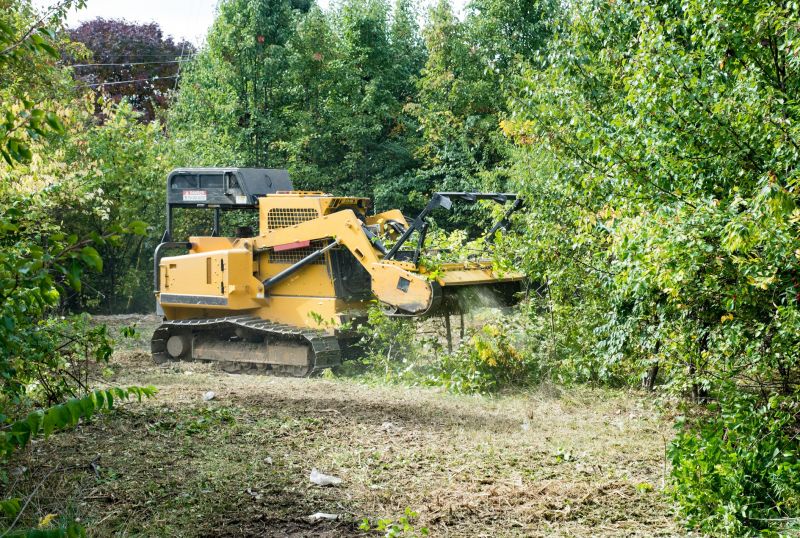 Undergrowth Removal in Utah County, UT