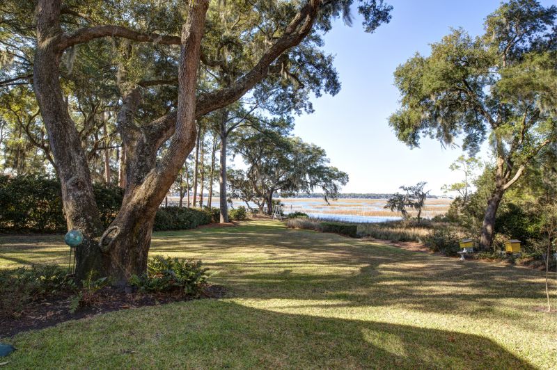 Natural Woodland Clearing