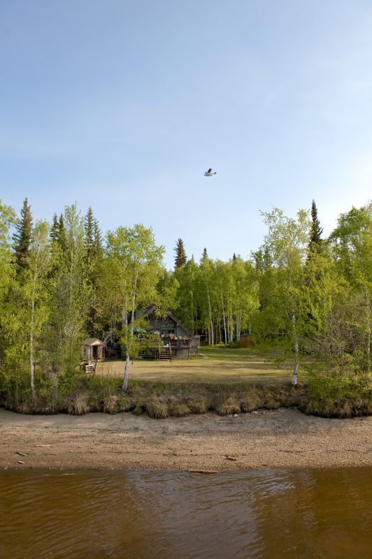 Open Space in Forest